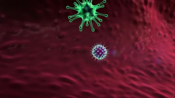 吞噬细胞和大肠病毒 淋巴细胞杀死病毒 人体内 医学三维图形 淋巴细胞 淋巴细胞 淋巴细胞产生抗体 淋巴细胞抵抗病毒 — 图库视频影像