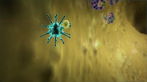 リンパ球はウイルスを殺します人体内の医療用3Dグラフィックスリンパ球リンパ球リンパ球はウイルスに対する抗体リンパ球を生成します — ストック動画