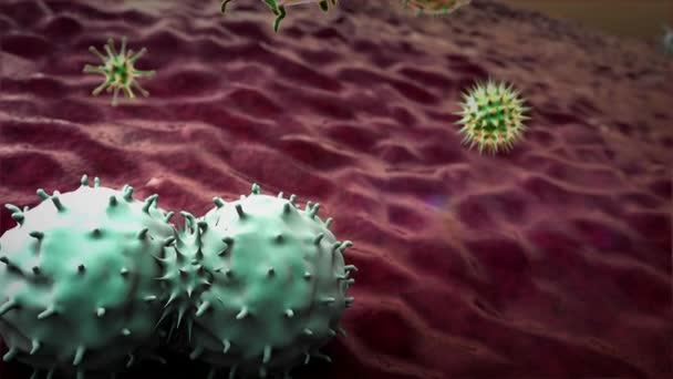 Cellen Antilichamen Antilichamen Doodt Cellen Gesmolten Macrofagen Coronavirus Medische Video — Stockvideo