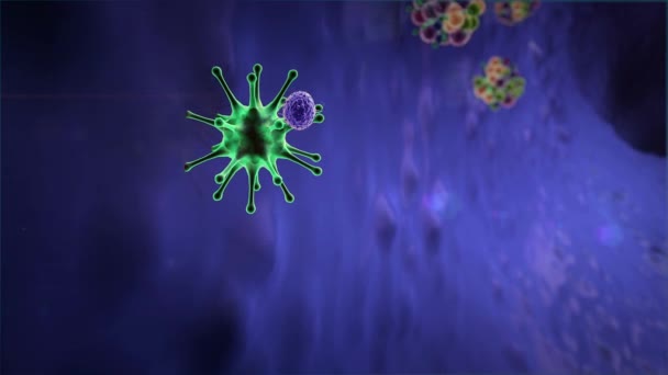 マクロファージとコロナウイルス マクロファージはウイルスを殺し 3Dレンダリングされたマクロファージとウイルス 人体内 医療ビデオの背景 人体内のウイルス ヒト免疫システムはウイルスを攻撃する — ストック動画