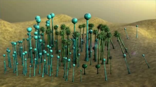 Colonia Funghi Fungo Sulla Superficie Del Cuoio Paesaggio Del Micromondo — Video Stock