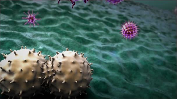 3Dレンダリングされたマクロファージとコロナウイルス 医療ビデオ背景 マクロファージは癌細胞 3Dレンダリングされた抗体と癌細胞を殺す — ストック動画