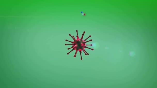 Yeşil Arka Planda Coronavirus Insan Vücudunun Içinde Tıbbi Video Animasyonu — Stok video
