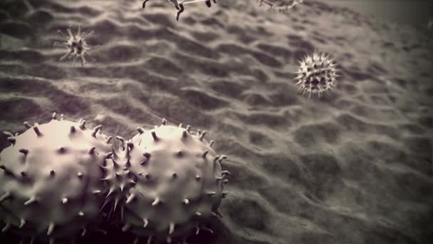 Células Anticuerpos Anticuerpos Mata Las Células Macrofago Coronavirus Renderizado Antecedentes — Vídeos de Stock
