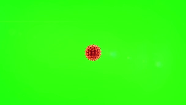 Coronavirus Zöld Háttér Belül Emberi Test Orvosi Videó Háttér Animáció — Stock videók