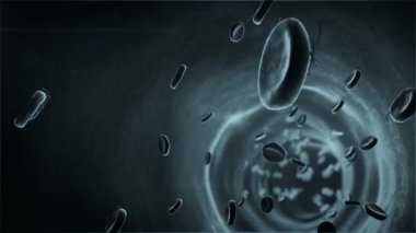 damar içinde kan hücreleri kan damarı içinde yüksek kalite 3d render kırmızı kan hücrelerinin beyaz ve beyaz kan hücreleri arter 