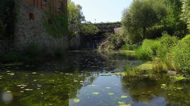 Damm Nära Slottet Sjö Nära Den Historiska Pappersbruket Radomysl Slott — Stockvideo