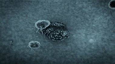 Lenfositler mantara saldırır, fagosit virüsleri öldürür, insan vücudunun içinde, kanser hücreleri, virüsler ve bakterilere karşı 3D grafikler, lenfositler