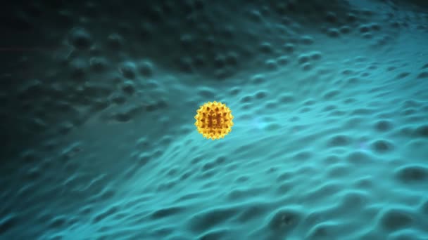 Macrofaag Coronavirus Macrofaag Doodt Virussen Gesmolten Macrofaag Virus Het Menselijk — Stockvideo