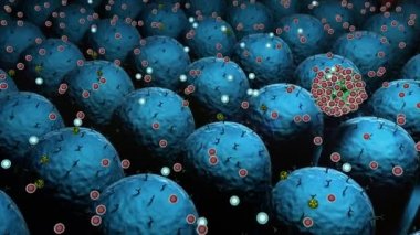 Coronavirus ve Antikor, antikorlar virüsleri, makrofajı ve virüsü öldürür, tıbbi video geçmişi