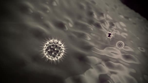 Makrofage Och Coronavirus Makrofage Dödar Virus Renderad Makrofage Och Virus — Stockvideo