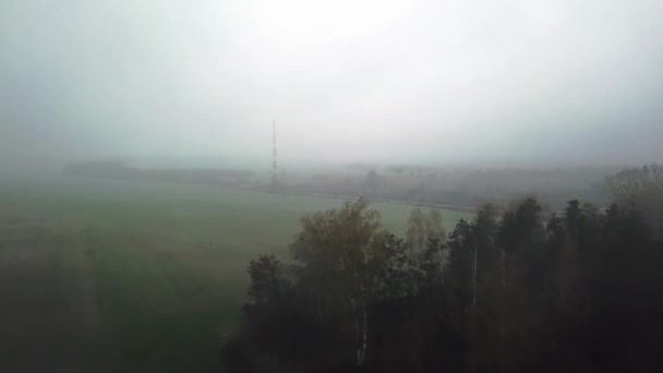 霧の中のコムギ畑と秋の森の空中風景霧の中のコムギ畑の空中風景霧の中の農業現場 — ストック動画