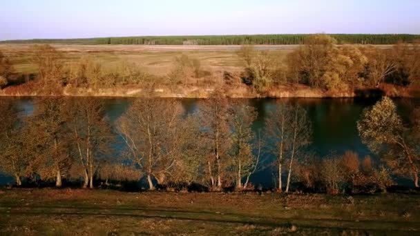 Luftaufnahme Von Herbstbäumen Fluss Luftaufnahme Von Herbstbäumen Morgen Fluss Morgennebel — Stockvideo