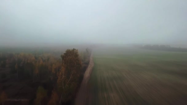 霧の中のコムギ畑と秋の森の空中風景霧の中のコムギ畑の空中風景霧の中の農業現場 — ストック動画