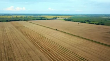 Buğday tarlasının havadan görünüşü, odunlu buğday tarlasının havadan görünüşü, Avrupa buğday tarlalarının, tarlada buğday hasadının havadan görüşü, tarım sahnesinin en üst görüntüsünün hemen üzerinde uçmak.