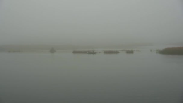 Bateau Avec Pêcheurs Dans Brouillard Automne Bateau Moteur Sur Rivière — Video