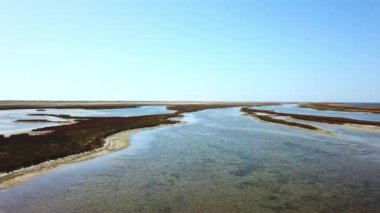 Sığ sulardaki göçmen kuş sürüleri, güz bozkırlarındaki kuş sürüleri, sığ denizde uçan kuşların havadan görünüşü, sığ denizin ve birçok adanın havadan görünüşü.
