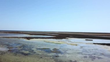 Sığ sulardaki göçmen kuş sürüleri, güz bozkırlarındaki kuş sürüleri, sığ denizde uçan kuşların havadan görünüşü, sığ denizin ve birçok adanın havadan görünüşü.
