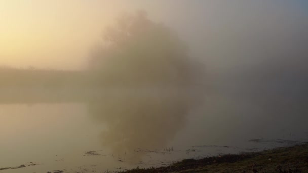 Nevoeiro Manhã Sobre Rio Outono Rio Nascer Sol Amanhecer Sobre — Vídeo de Stock