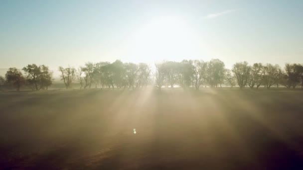 木々や霧を通して朝の太陽の光線 秋の川の上の朝の霧の空中ビュー 朝の霧の中で川の上の夜明け 川の上の晴れと霧の朝 — ストック動画
