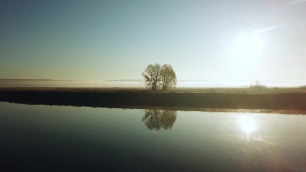 Nehir Kenarındaki Sonbahar Ağaçlarının Hava Manzarası Sabahları Sonbahar Ağaçlarının Hava — Stok video