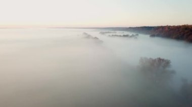 Sonbahar nehri üzerinde sabah sisi, gün doğumunda nehir üzerinde uçuş, sabah sisinde nehir üzerinde şafak, sabah sisinde nehir, nehirde güneşli ve sisli bir sabah.