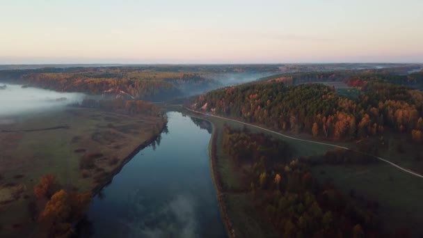 Aerial View Morning Fog Autumn River Flight River Sunrise Dawn — Stock Video