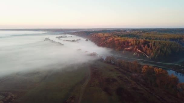 Vue Aérienne Brouillard Matinal Sur Rivière Automne Vol Dessus Rivière — Video