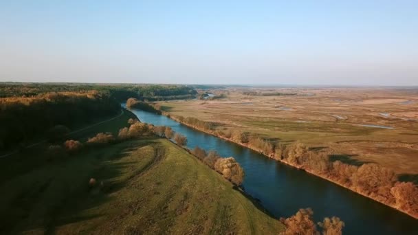 Luftaufnahme Von Fluss Und Wiesen Herbst Atemberaubende Luftaufnahme Über Saftigen — Stockvideo