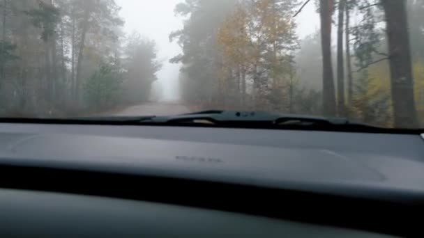 Vista Desde Coche Carretera Otoño Niebla Conducir Niebla Conducir Una — Vídeos de Stock