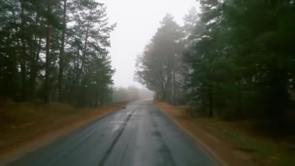 Sonbahar Yolundaki Sisli Araba Manzarası Sisli Bir Sonbahar Gününde Kırsal — Stok video