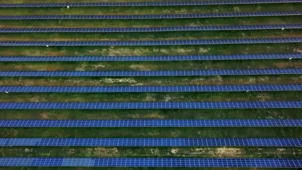 Antenn Utsikt Över Solkraftverk Antenn Ovanifrån Solar Farm Med Solljus — Stockvideo