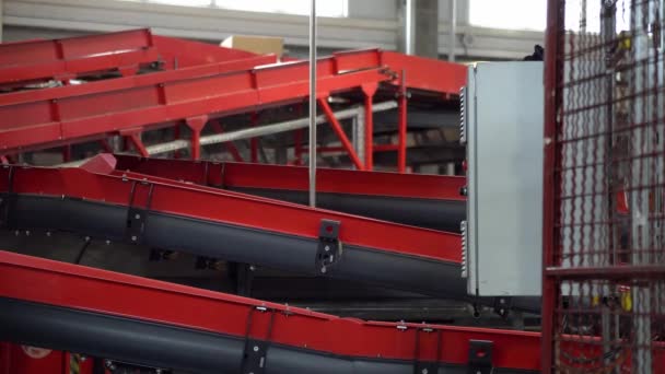 Postal Parcel Sorting Line Postal Conveyor System Parcels Moving Belt — стокове відео