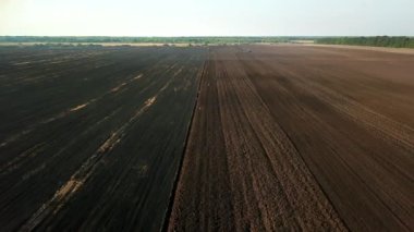 Traktör ve leyleklerin tarladaki havadan görünüşü birçok beyaz leylek yiyecek aramak için tarımsal makineyi takip ediyor, traktör ve kuşlarla tarlanın üzerinden uçuyor.