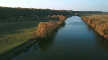 Nehir kenarındaki sonbahar ağaçlarının hava manzarası, sabahları sonbahar ağaçlarının hava manzarası, sabah sisli bir nehir, nehrin üzerindeki güneşli ve sisli bir sabah.