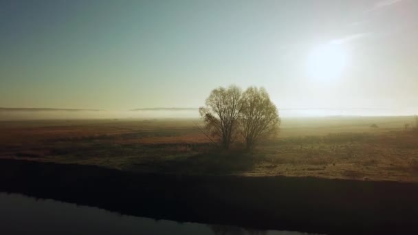 Aerial View Autumn Trees River Aerial View Autumn Trees Morning — Stock Video