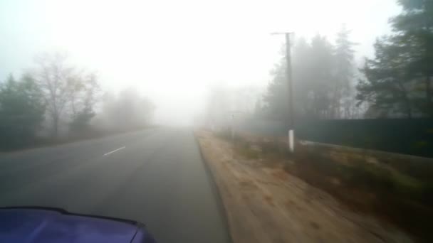 Camino Otoño Niebla Vista Desde Coche Carretera Otoño Niebla Conducir — Vídeo de stock