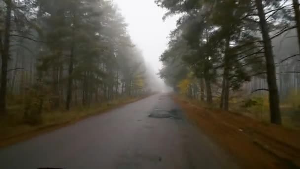 Camino Otoño Niebla Vista Desde Coche Carretera Otoño Niebla Conducir — Vídeo de stock