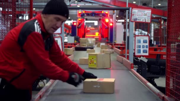 Pracovníci Lince Pro Třídění Poštovních Balíků Linka Pro Třídění Poštovních — Stock video