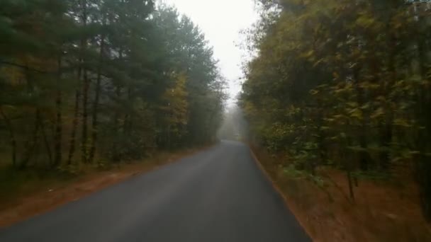 Vista Desde Coche Carretera Otoño Niebla Conducir Niebla Conducir Una — Vídeo de stock