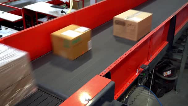 Postal Parcel Sorting Line Postal Conveyor System Parcels Moving Belt — Stock Video