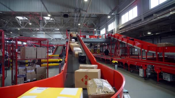 Postal Parcel Sorting Line Postal Conveyor System Parcels Moving Belt — Stock Video