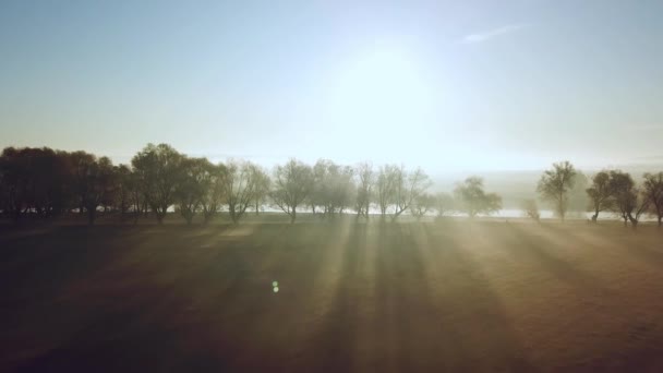 Луч Утреннего Солнца Сквозь Деревья Туман Воздушный Вид Утреннего Тумана — стоковое видео