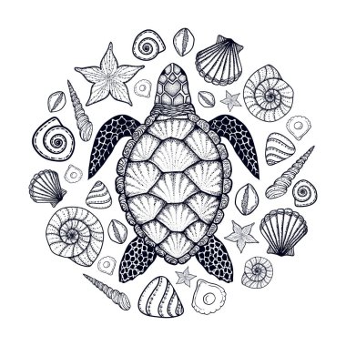 Deniz kaplumbağası ve kabukları hat sanat tarzı. El vektör çizim çekilmiş. Okyanus öğeleri kümesi