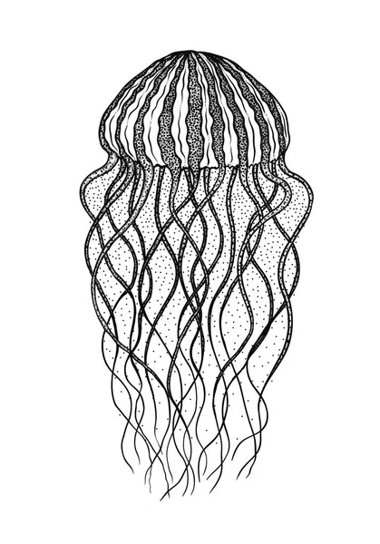 Jellyfish in line art style. Vector illustration. Design for coloring book. Ocean elements — Stock Vector
