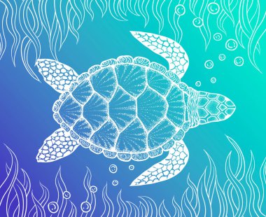 Deniz kaplumbağası hat sanat tarzı. El vektör çizim çekilmiş. Boyama kitabı için tasarım. Okyanus öğeleri kümesi
