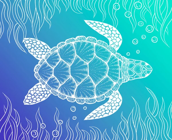 Havssköldpaddan i linje konststil. Hand dras vektorillustration. Design för målarbok. Uppsättningen av ocean element — Stock vektor