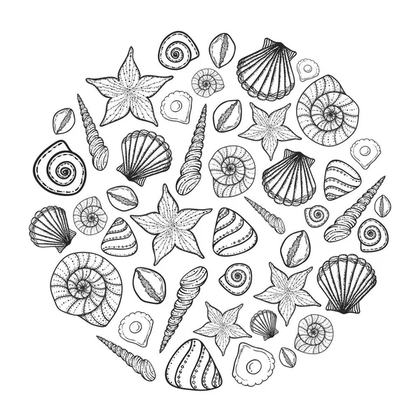 Affisch med snäckskal och starfishes. Marina bakgrund. Handritad vektorillustration i doodle stil. — Stock vektor