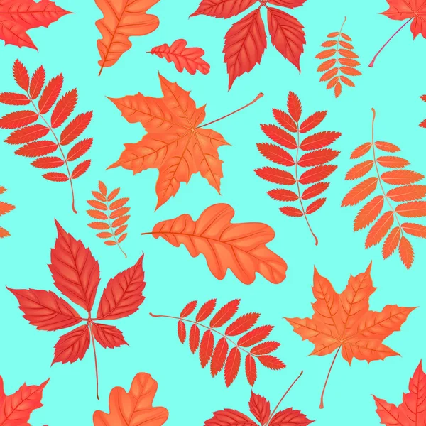 Sonbahar parthenocissus, meşe, rowan, akçaağaç yaprakları ile Seamless modeli. Yaratıcı vektör çizim — Stok Vektör