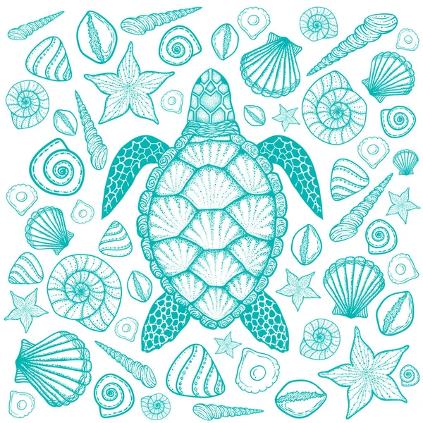 Tortuga marina y conchas en estilo de arte en línea. Ilustración vectorial dibujada a mano. Conjunto de elementos oceánicos — Vector de stock